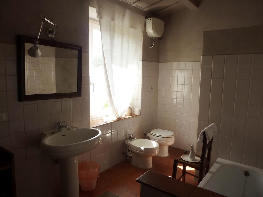 Tuttaterra Serra San Quirico Quarto foto